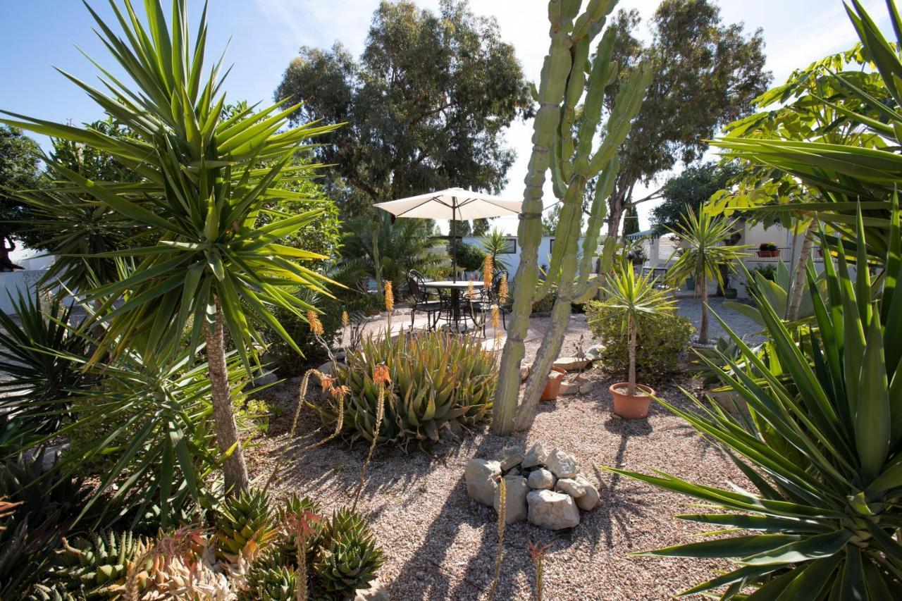 מוטקסאמל Apartment Costa Blanca מראה חיצוני תמונה