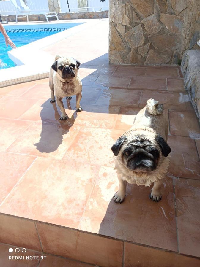 מוטקסאמל Apartment Costa Blanca מראה חיצוני תמונה